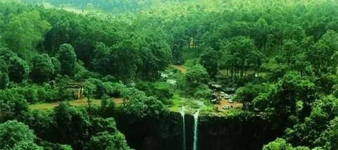 Dense Green Forests of Pachmarhi madhya-pradesh